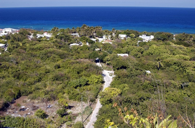 7 THINGS TO SEE AND DO IN CAYMAN BRAC