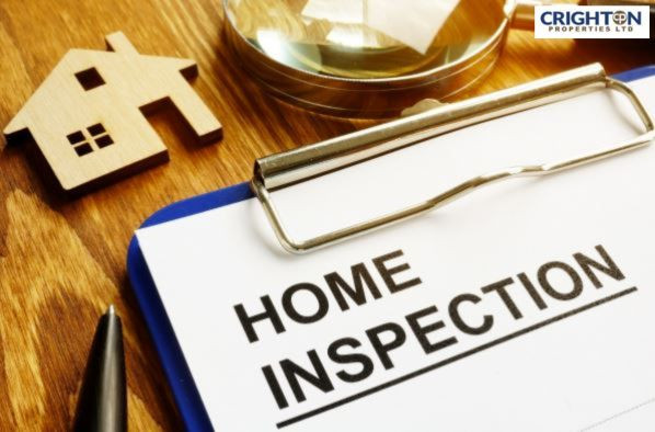 Types of Home Inspections: A Complete Guide for Buyers in Cayman