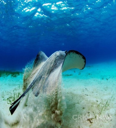 Cayman Brac