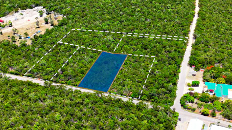 OCEAN RIDGE HEIGHTS LOT 3 - CAYMAN BRAC - OWNER FINANCING