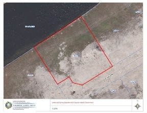 LALIQUE POINTE  -  LOT #102 LALIQUE POINTE  -  LOT #102