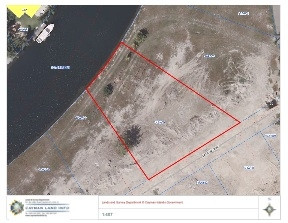 LALIQUE POINTE  -  LOT #106 LALIQUE POINTE  -  LOT #106