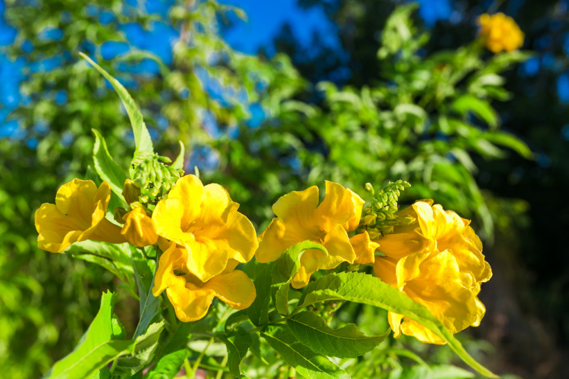 QUANTUM DRIVE, EAST END QUANTUM DRIVE, EAST END