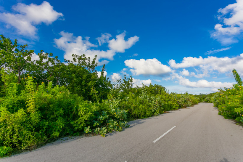 QUANTUM DRIVE, EAST END QUANTUM DRIVE, EAST END