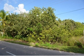 NORTH WEST POINT ROAD PROPERTY