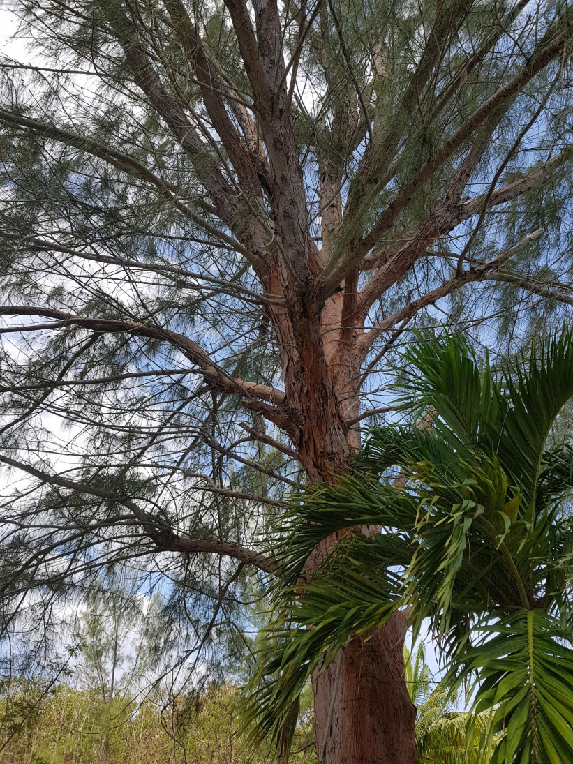 ADMIRAL'S LANDING LOT