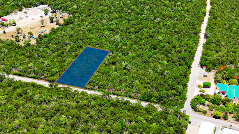 OCEAN RIDGE HEIGHTS LOT 4 - CAYMAN BRAC - OWNER FINANCING