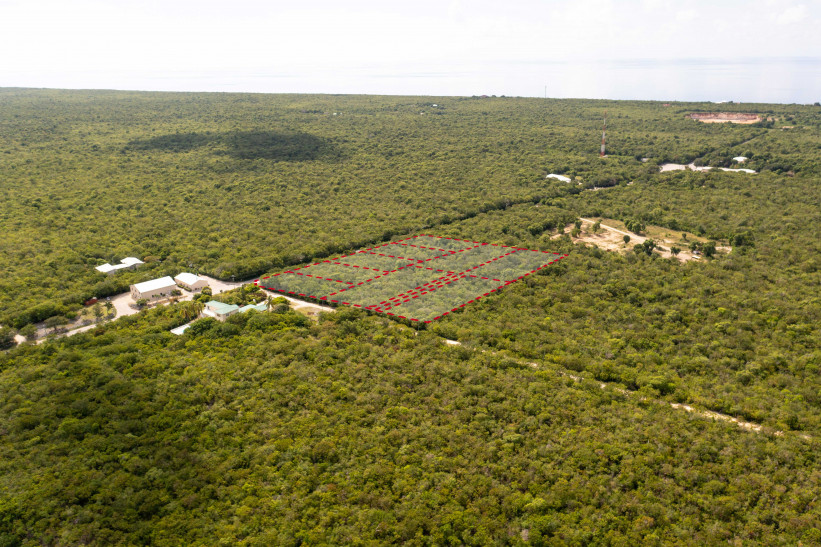 OCEAN RIDGE HEIGHTS LOT 7 - CAYMAN BRAC - OWNER FINANCING